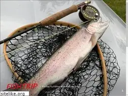 Sites similar to fishtrip.de