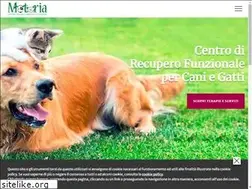 Sites similar to fisiomotoria.it