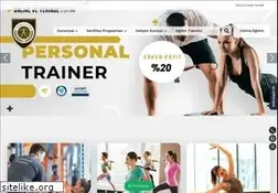 Sites similar to fitnessakademi.com