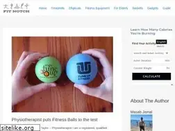 Sites similar to fitnotch.com