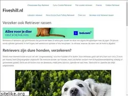 Sites similar to fiveshill.nl