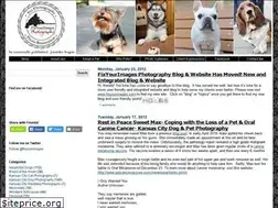 Sites similar to fixyourimages.blogspot.com