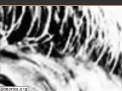 Sites similar to fjv.com.br