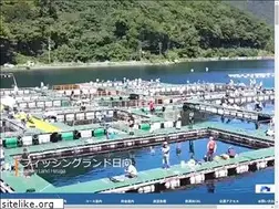 Sites similar to fl-hiruga.com