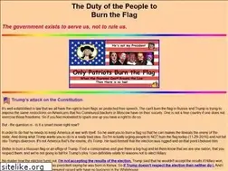 Sites similar to flagburning.org