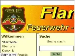 Sites similar to flaming-stars-feuerwehrbiker-sh.de