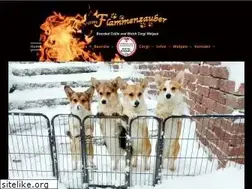 Sites similar to flammenzauber.eu