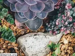 Sites similar to flaschengarten-anlegen.de