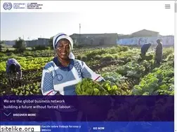 Sites similar to flbusiness.network
