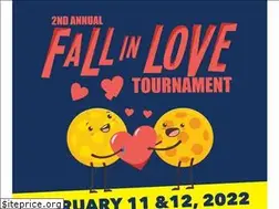 Sites similar to flemingtonpickleball.com