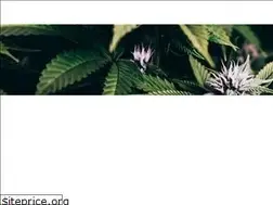 Sites similar to fleurs-cannabis.com