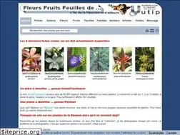 Sites similar to fleurs-fruits-feuilles-de.com