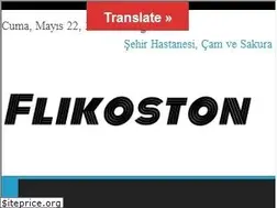 Sites similar to flikoston.com