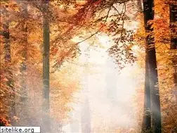 Sites similar to flintsquare.de
