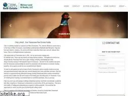 Sites similar to flipwithchip.com