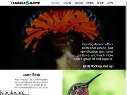 Sites similar to flockingaround.com