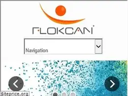 Sites similar to flokcan.com