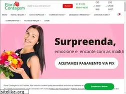 Sites similar to floracontagem.com.br