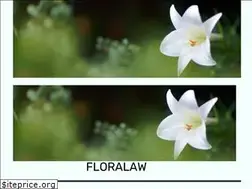 Sites similar to floralaw.wordpress.com