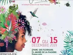 Sites similar to floralies-martinique.com