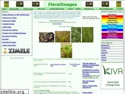 Sites similar to floralimages.co.uk