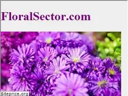 Sites similar to floralsector.com