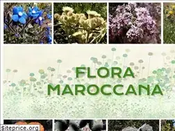 Sites similar to floramaroccana.fr