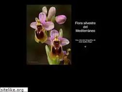 Sites similar to florasilvestre.es