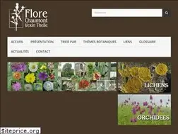 Sites similar to flore-chaumont-vexin-thelle.fr