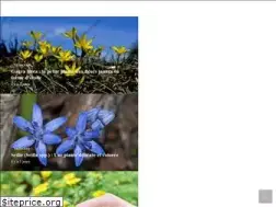 Sites similar to floredefrance.com