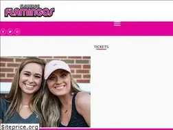 Sites similar to florenceredwolves.com
