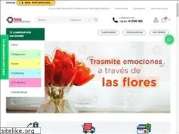Sites similar to floreriasmonterrey.net