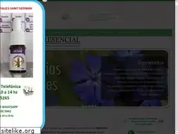 Sites similar to floresencial.com