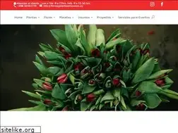 Sites similar to floresmusacco.com