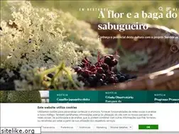 Sites similar to florestas.pt