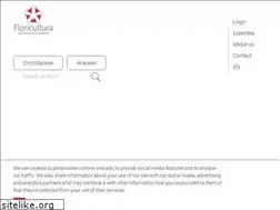 Sites similar to floricultura.com