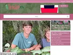 Sites similar to floridaboyscaladiums.com