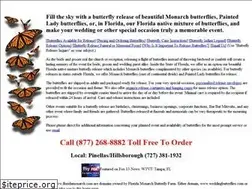 Sites similar to floridamonarch.com