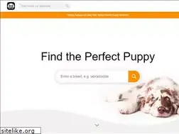Sites similar to floridapuppiesforsale.net