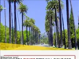 Sites similar to floridaticketfirm.com