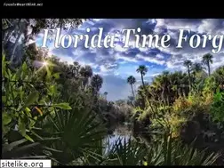 Sites similar to floridatimeforgot.com