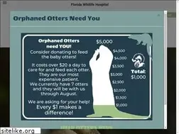 Sites similar to floridawildlifehospital.org