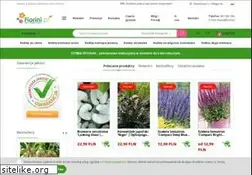 Sites similar to florini.pl