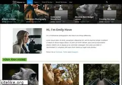 Sites similar to floripaimages.com