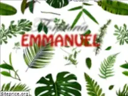 Sites similar to floristeriaemmanuel.com