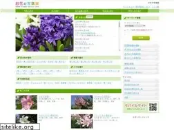 Sites similar to flower-photo.info