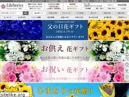 Sites similar to flower-present.jp