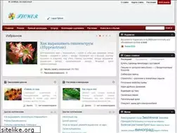 Sites similar to flower.tj