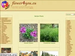 Sites similar to flower4you.eu
