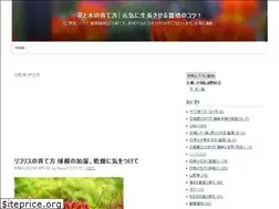 Sites similar to flower777.info